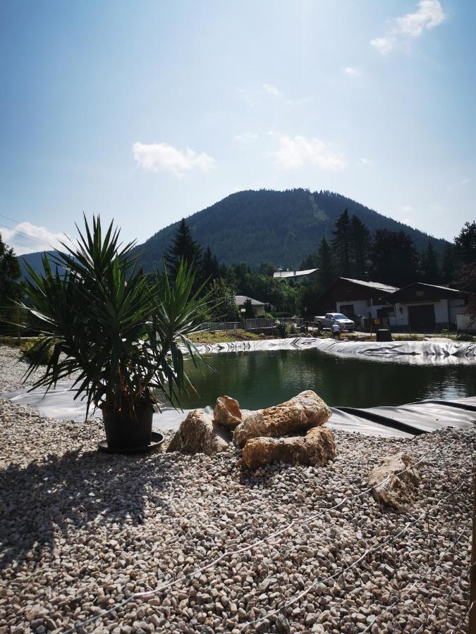 Fruehstueckspension Gasthof Gesslbauer Hotel Steinhaus am Semmering Luaran gambar