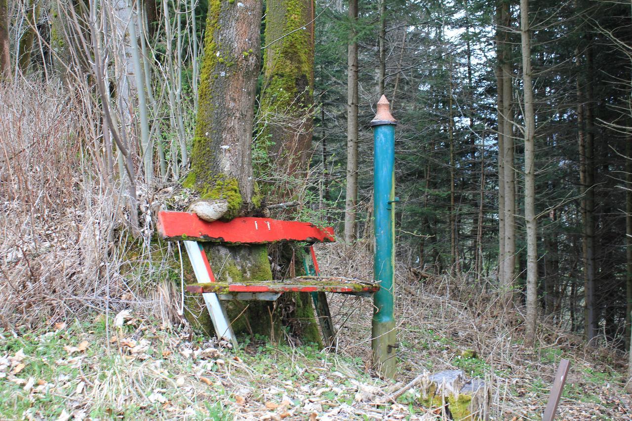 Fruehstueckspension Gasthof Gesslbauer Hotel Steinhaus am Semmering Luaran gambar