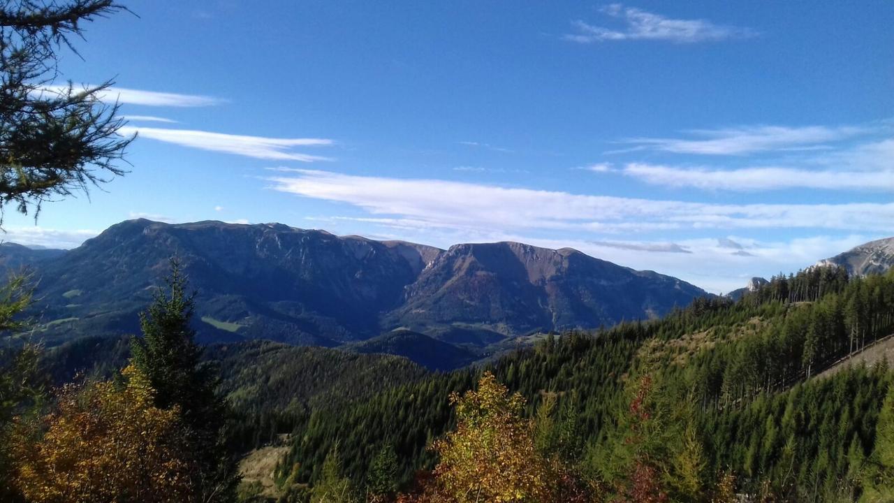 Fruehstueckspension Gasthof Gesslbauer Hotel Steinhaus am Semmering Luaran gambar