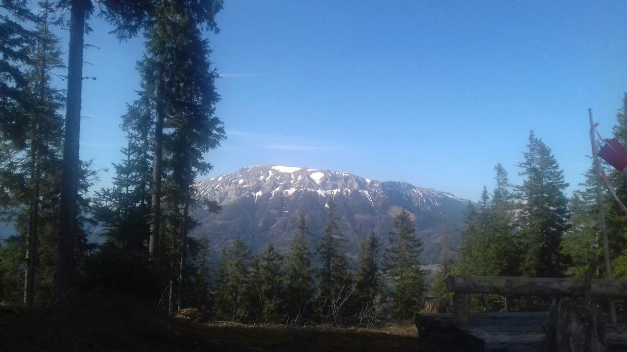 Fruehstueckspension Gasthof Gesslbauer Hotel Steinhaus am Semmering Luaran gambar